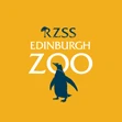 RZSS
