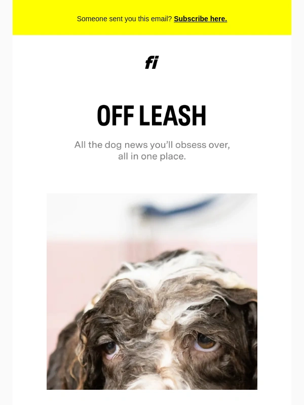 Fi - Bath-Time Secrets,Separation Anxiety Solutions,and Belly Rub Bliss! ???