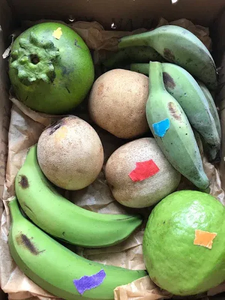 Spring Tropicals Fruit Box