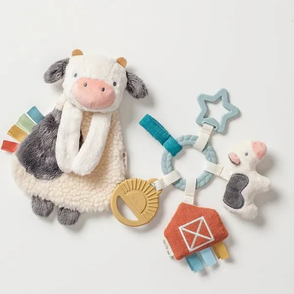 Itzy Ritzy Bitzy Busy Gift Set