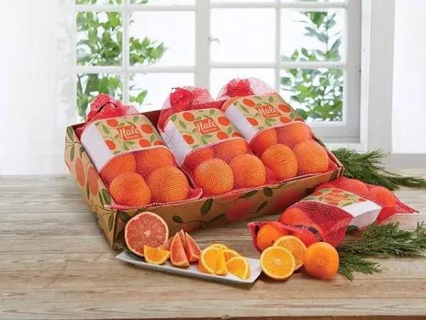 Hale Groves Farmstand Grove Navel Oranges & Red Ruby Grapefruit Gift Bags