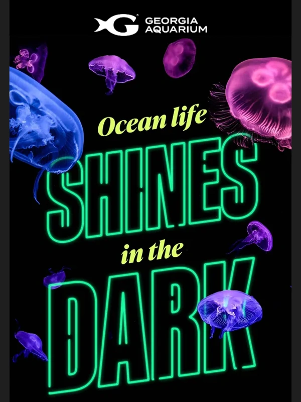 Georgia Aquarium - ? NEW: Glow Nights + $10 off after 4 PM