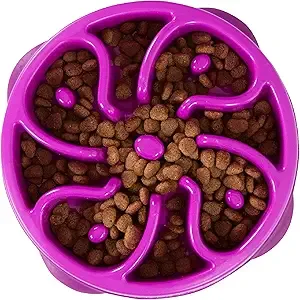 Outward Hound Fun Feeder Interactive Dog Bowl - Medium