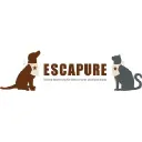 eBay Coupon