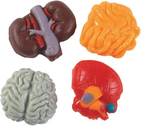 Fun Express Halloween Body Parts Gummy Candy