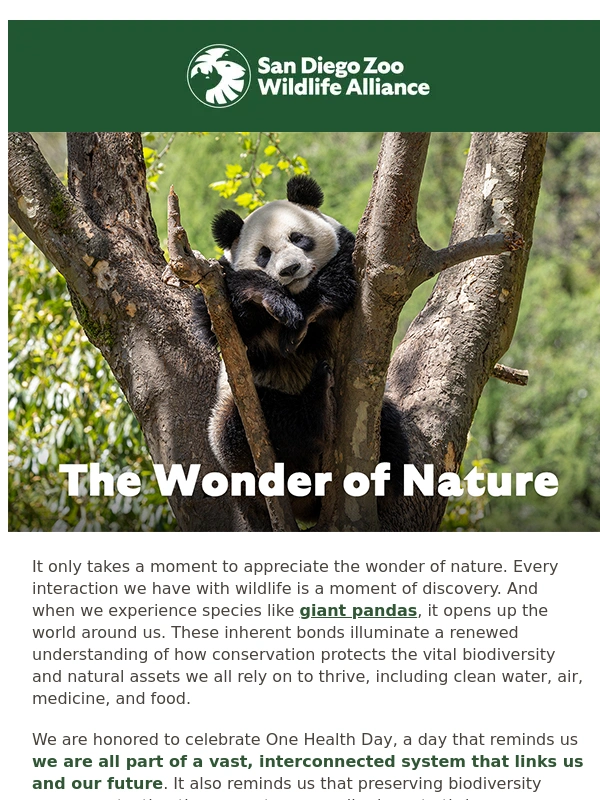 San Diego Zoo - We Are All Connected