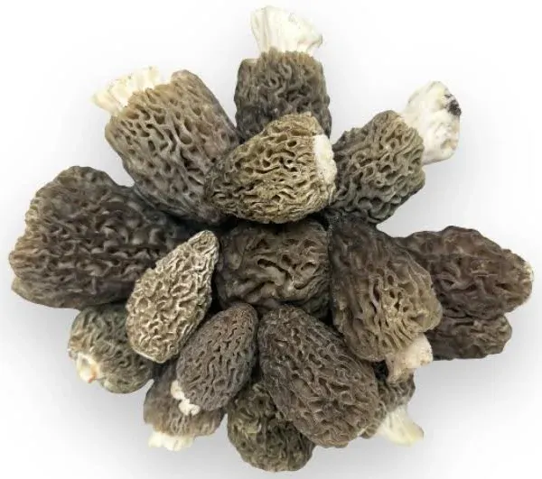 Fresh Wild Black Morels