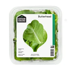 Gotham Greens Butterhead Lettuce