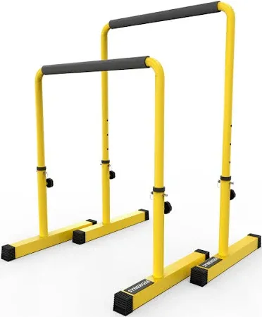 Synergee Adjustable Dip Station