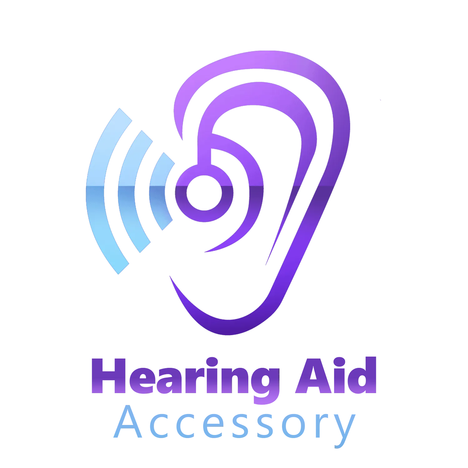 Hearing Aid Accessory