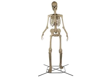 Home Accents Servo Skelly