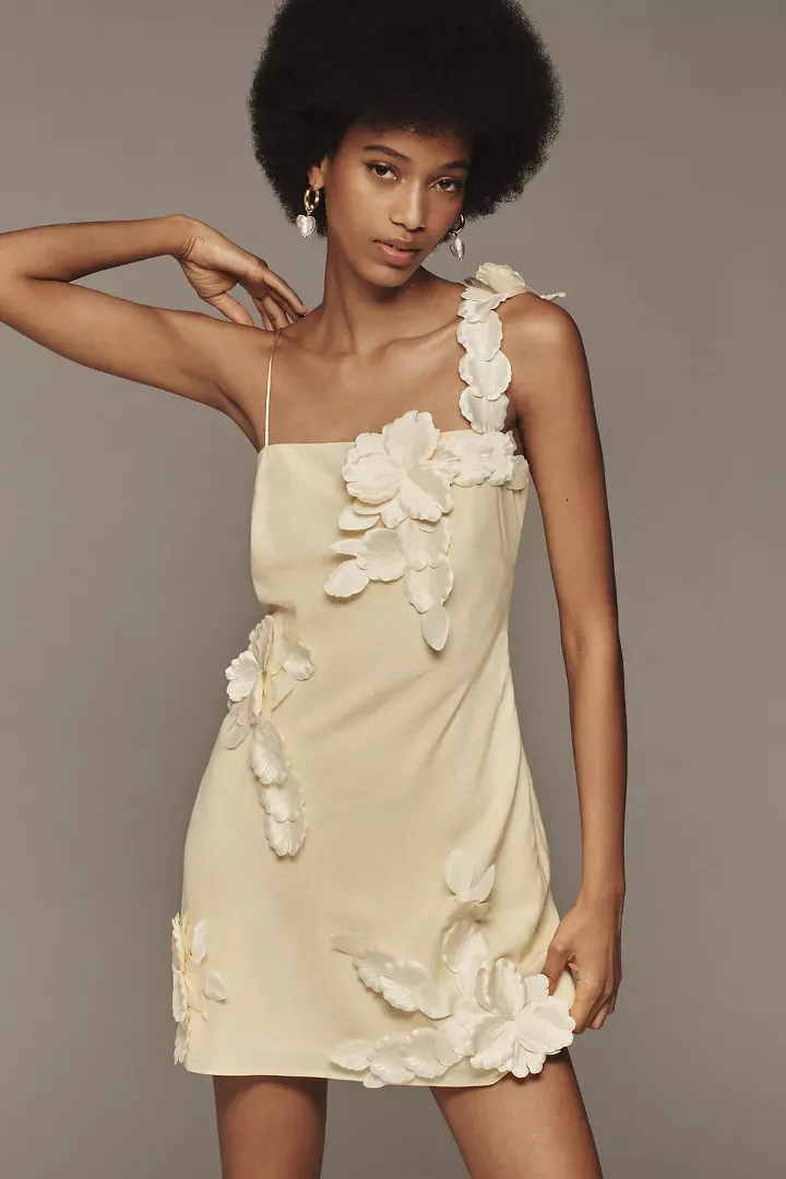 Hutch 3D Floral Appliqué Linen Blend Dress