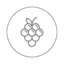 Wine Grapes Direct