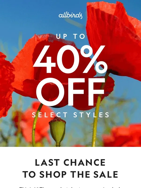 Allbirds - The Sale Ends Tonight ?
