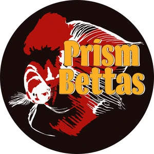 Prism Bettas