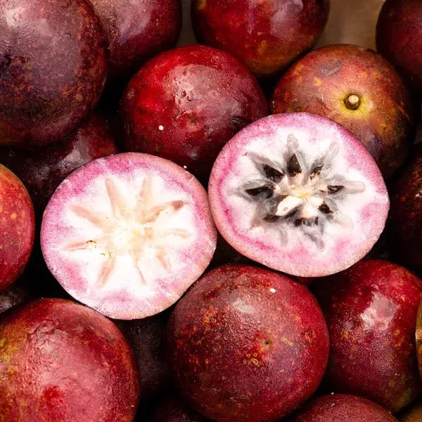 Buy Organic Star Apple GMO Free