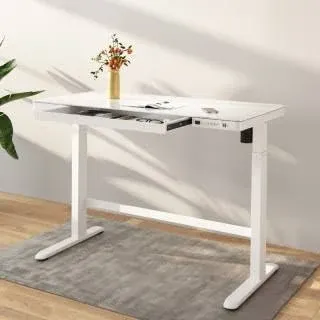 FlexiSpot EW8 48W Adjustable Standing Desk