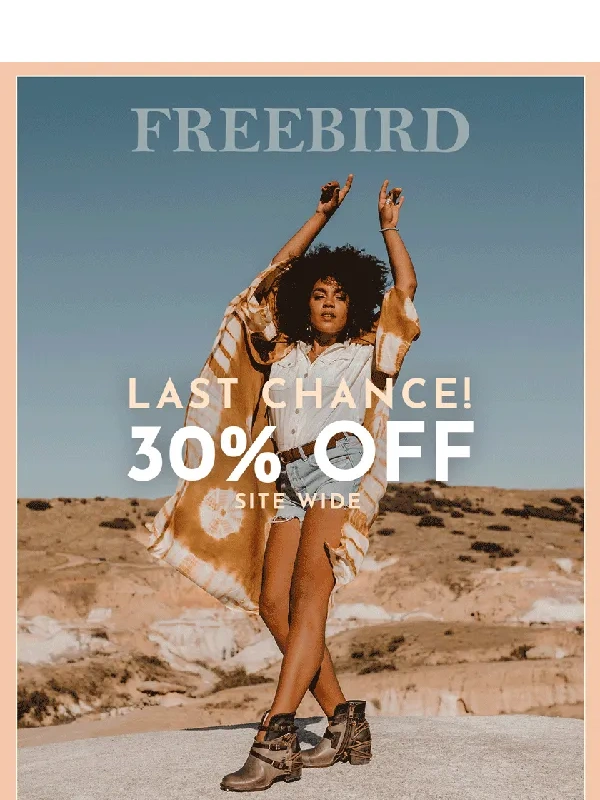 Freebird Stores - You Almost Missed Out?