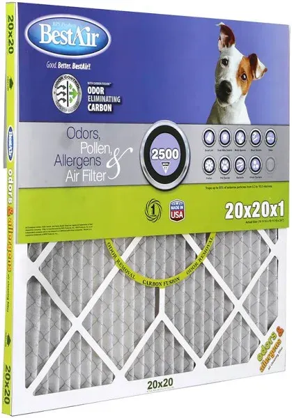 BestAir Pleated Allergen Air Filter PF2020-1