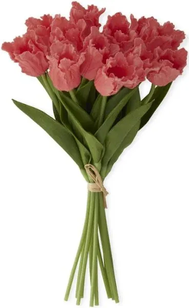 K & K Interiors Parrot Tulip Real Touch Bundle