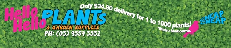 eBay Coupon