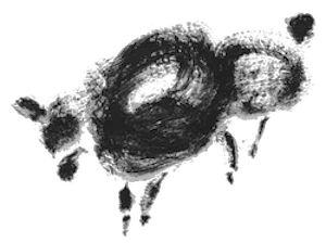 Cotton Sheep