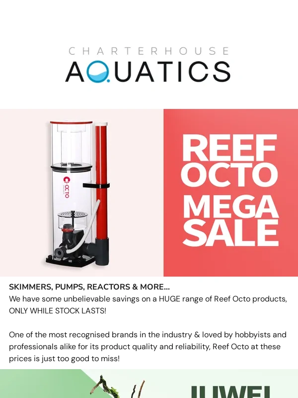 Charterhouse Aquatics - ? It's Pay Day! ?