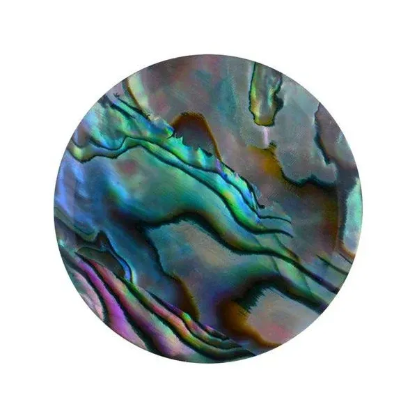 Quiges Natural Shell Blue Abalone Coin Necklace