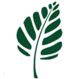 One Green Planet