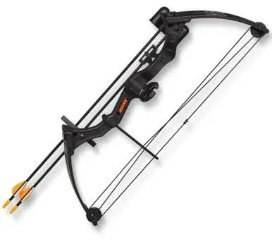 Bear Archery Brave Bow