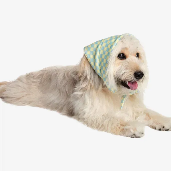 Little Beast Checkered Pet Bandana