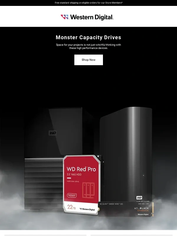 Western Digital_old - Scary good deals on monster drives ?