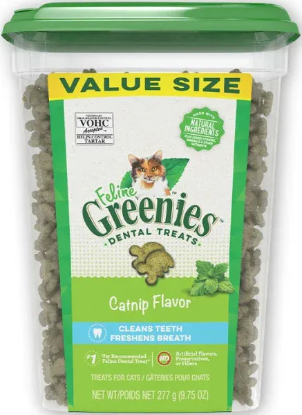 Feline Greenies Dental Cat Treats Catnip Flavor
