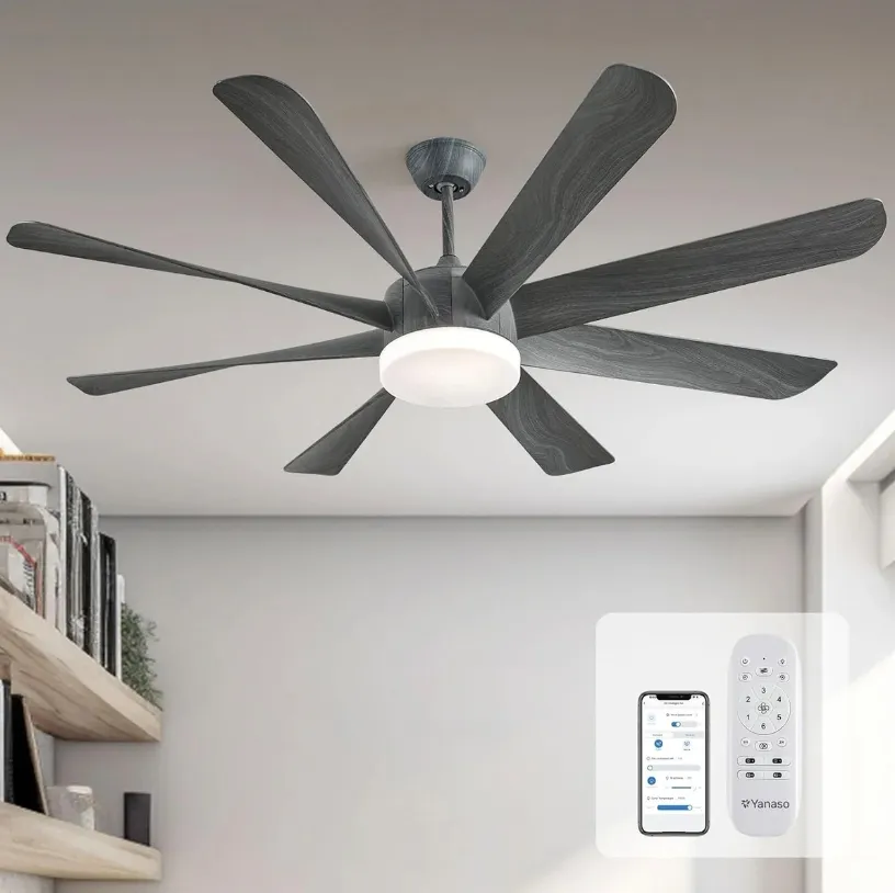 60" Ceiling Fan with Lights