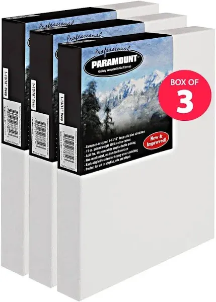 Paramount Pro Gallery Wrap Stretched Canvas
