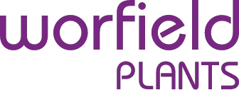 Worfield Plants