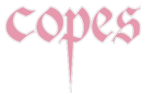 eBay Coupon