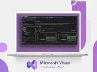 Microsoft Visual Studio Professional 2022 (Digital, Windows)
