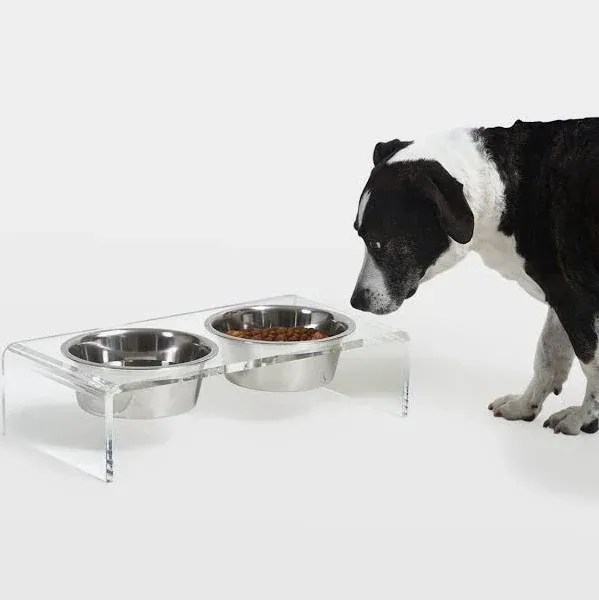 Hiddin Small Clear Elevated Feeder