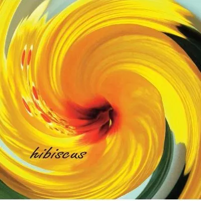 Hibiscus Flowershop