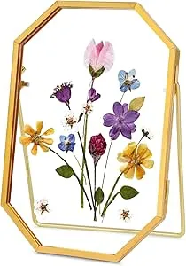 Glass Pressed Flower Frame Handmade, Metal Floating Picture Frame, Double Glass Frame for Pressed Flowers Tabletop Display Unique Brass Frame, Octagon, Gold, 4x6 inches (FRAME ONLY)