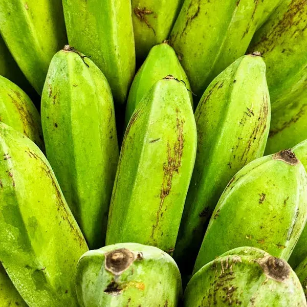 Burro (Orinoco) Bananas