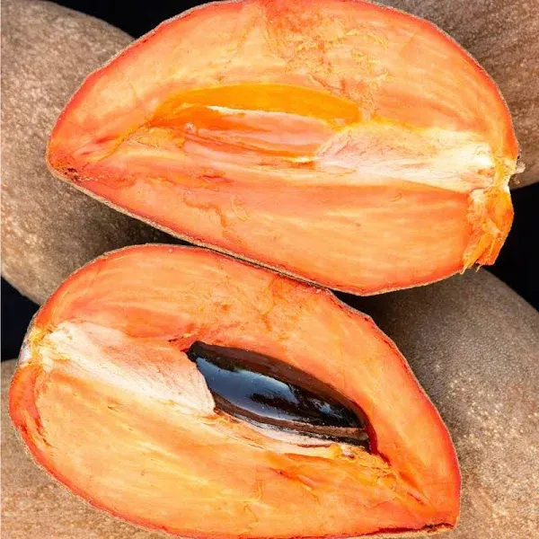 Certified Organic Mamey iHeartFruitBox