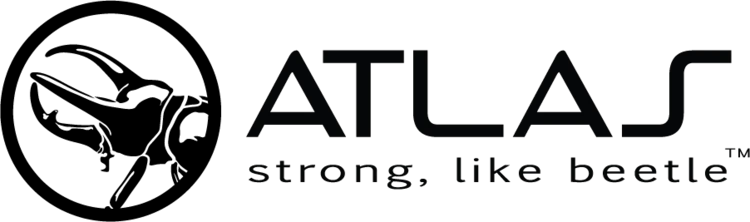 ATLAS Consulting Group