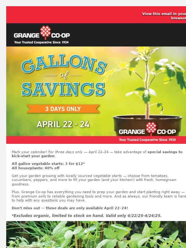 Grange Co-op - ? 3 for $12 Gallon Veggie Starts
