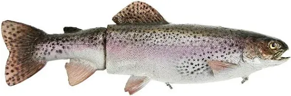 Mattlures Dead Twitch Trout Rainbow