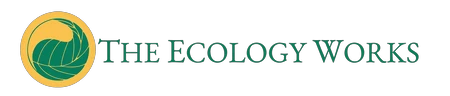 eBay Coupon