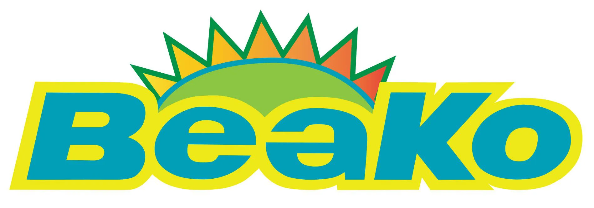 eBay Coupon