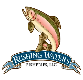 Rushing Waters