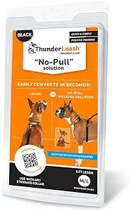 Thunderleash No-Pull Dog Leash (Large Dogs 25lb+) $10.99 + Free Shipping w/ Prime or on $35+